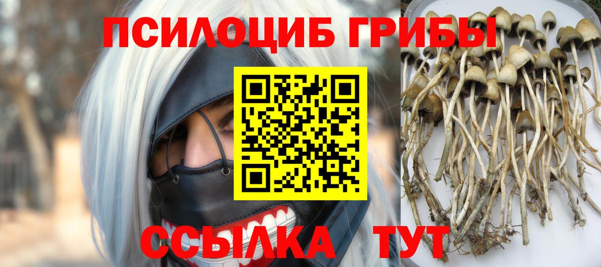 Галлюциногенные грибы GOLDEN TEACHER Сосновый Бор